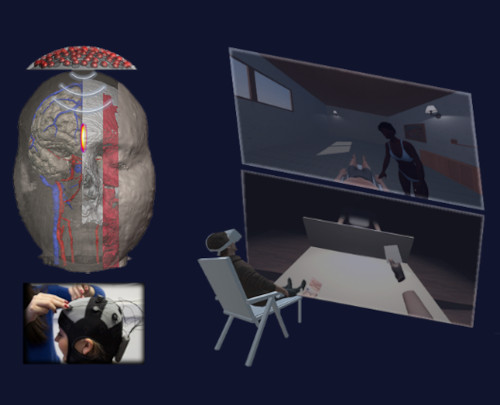 Neuroscience and society