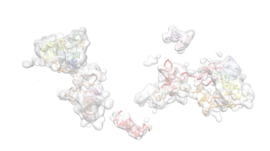 Research unit - Integrative Nuclear Architecture