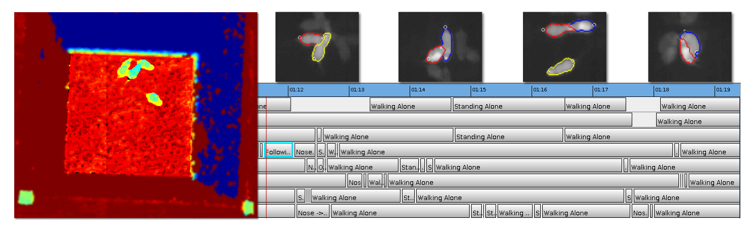 Mouse Behavior Analysis