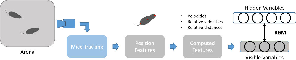 Mice Behavior Analysis