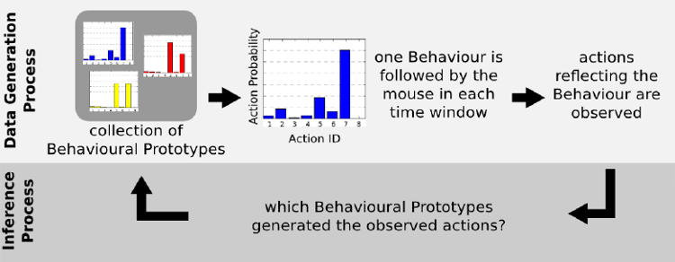 Social Behavior Analysis in Mice
