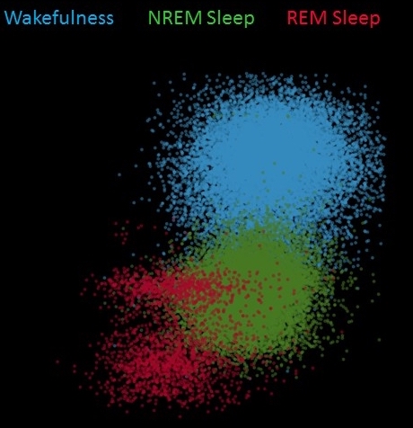 Mouse Sleep-stage Analysis