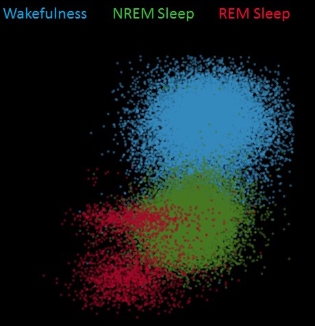 Mouse Sleep-stage Analysis