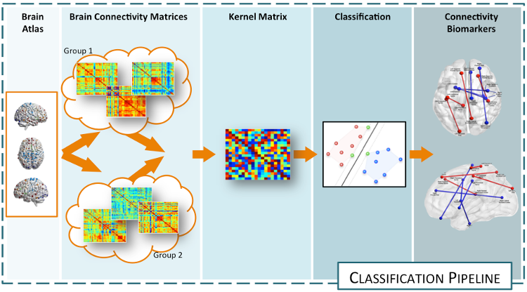 Connectome classification and characterization