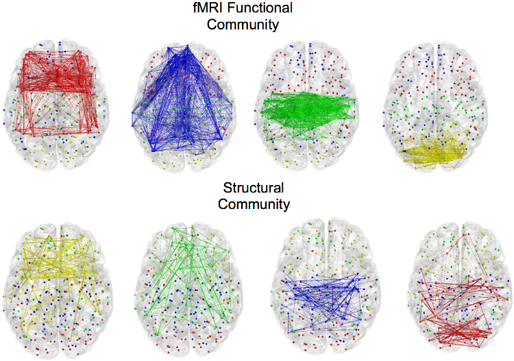 Functional and Structural Communuity in Human Brain