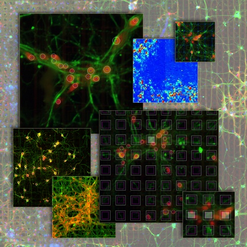 Multi-modal Analysis of Neuronal Networks