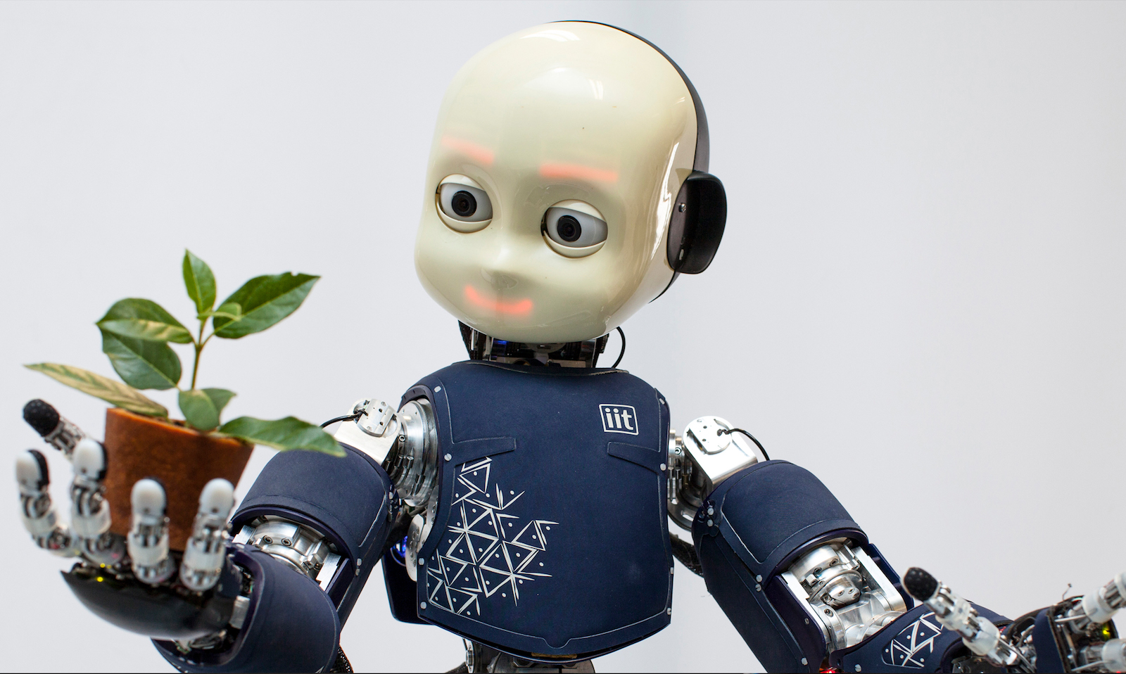 Motor control for modules for iCub