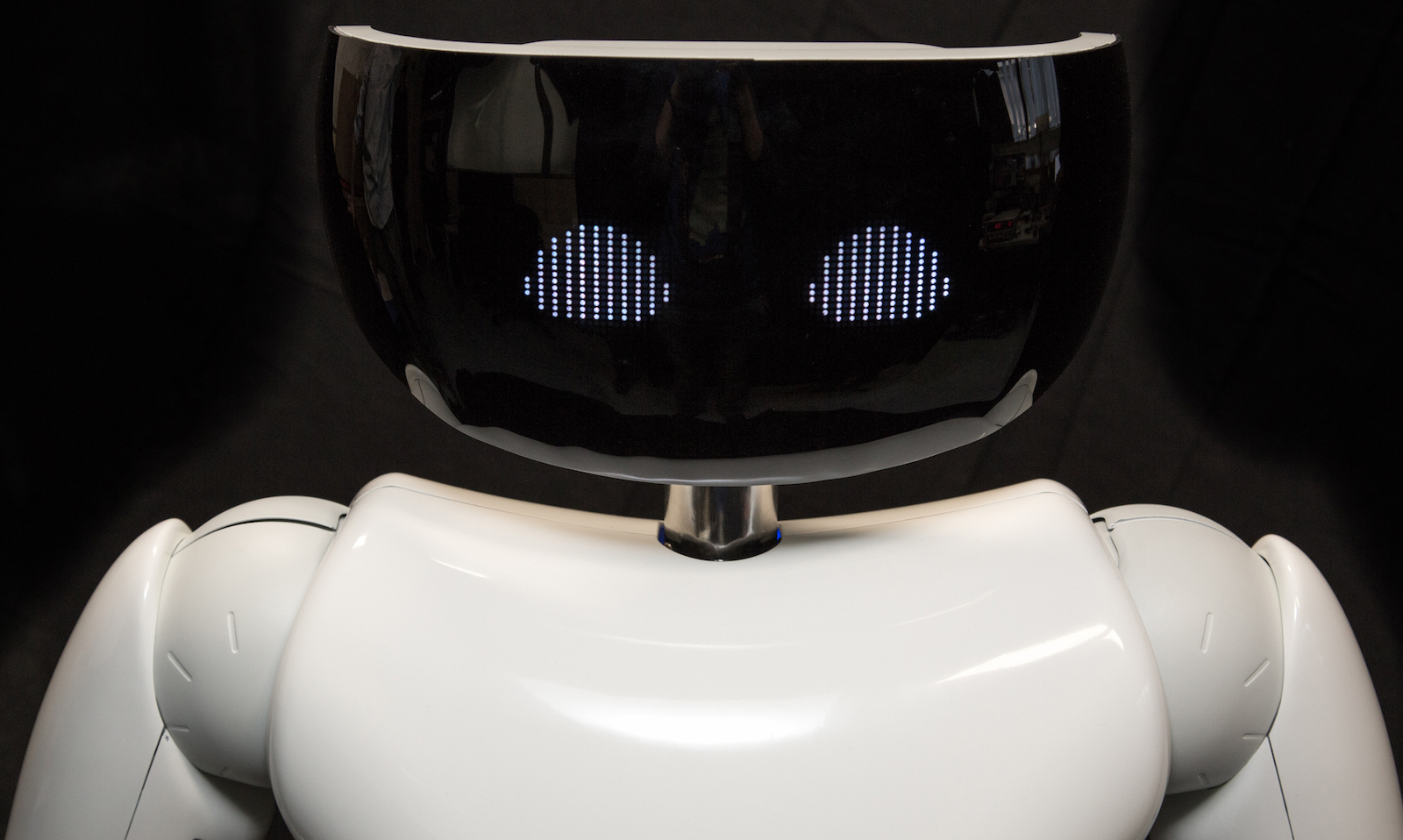 R1 Face Display FPGA IP Controller