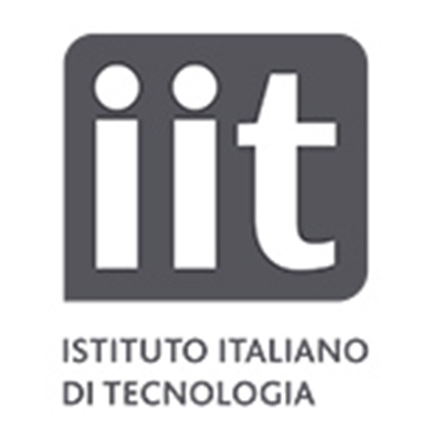 IIT logo