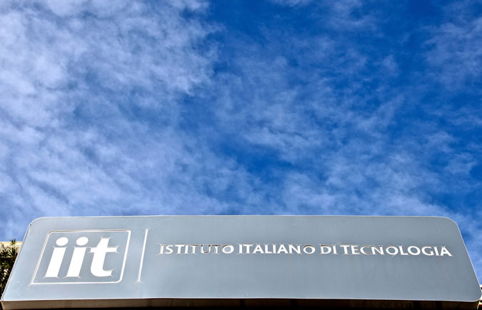 Dissemination Image Gallery