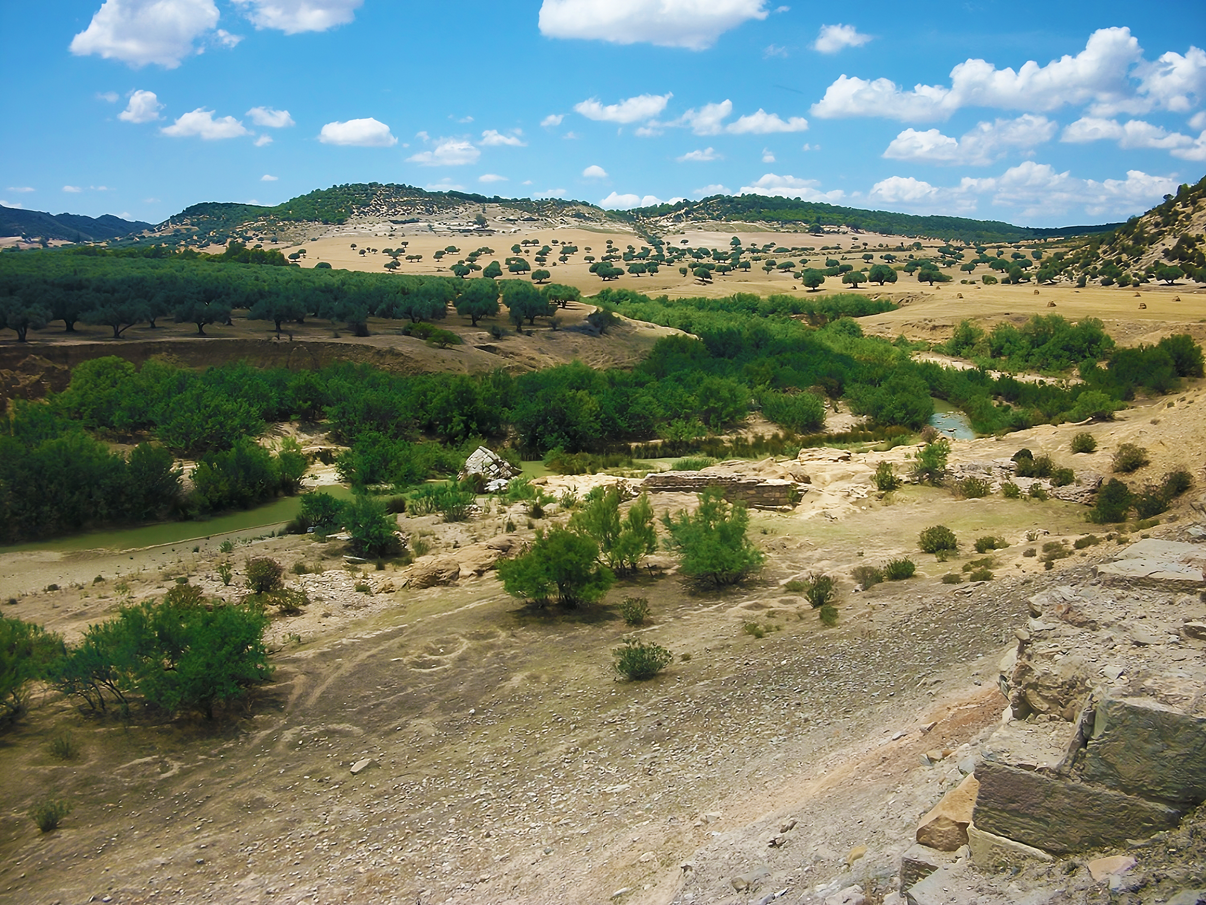 Tunisia_landscape: Archaeological remains in South Slouguia ©2023 Institut National du Patrimoine – Tunisie 