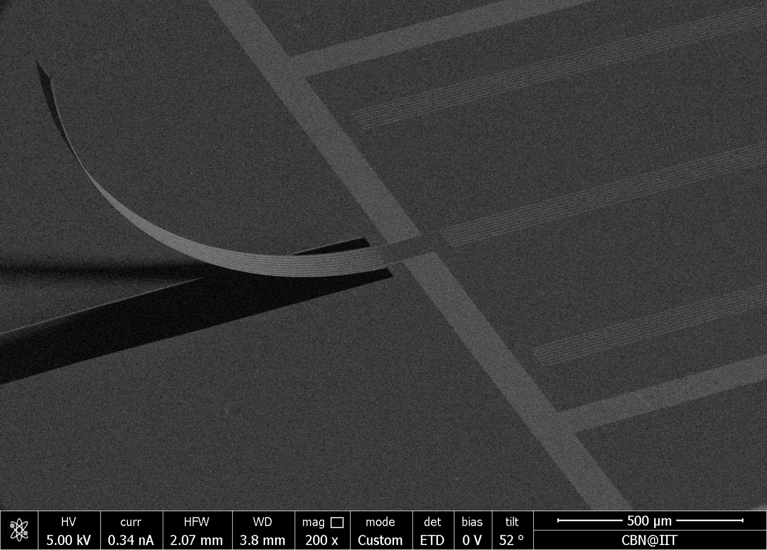 Development of an artificial lateral line system