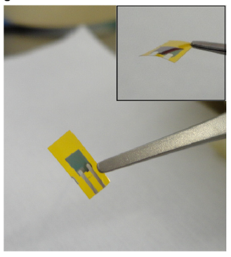 Energy harvesting from fluid flow in air and water