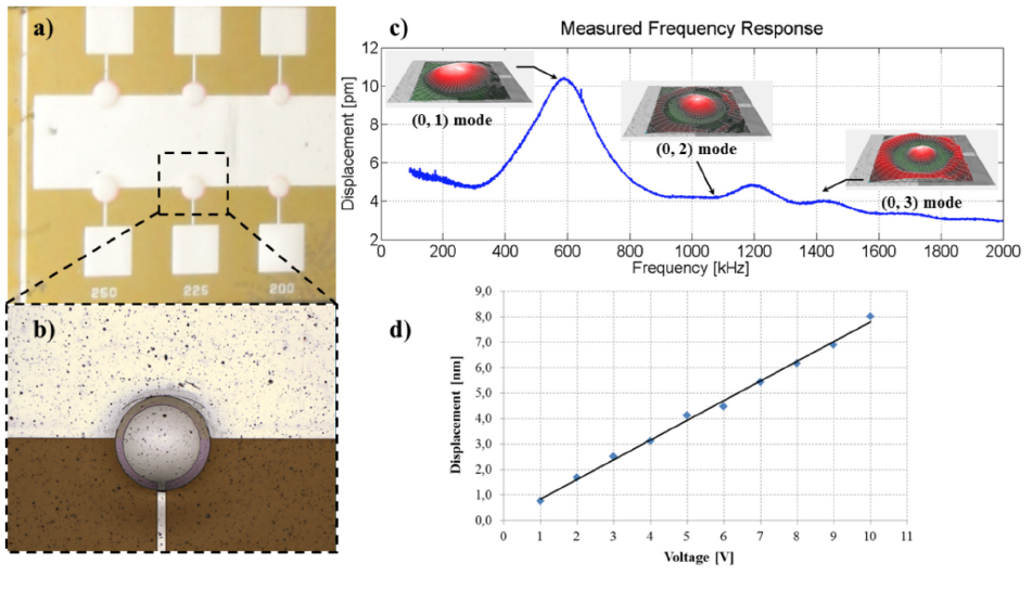 Flexible Piezoelectric devices for acoustics applications