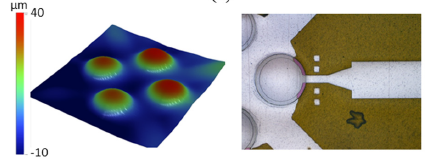 Tactile sensors and actuators