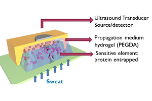 Wearable Ultrasonic