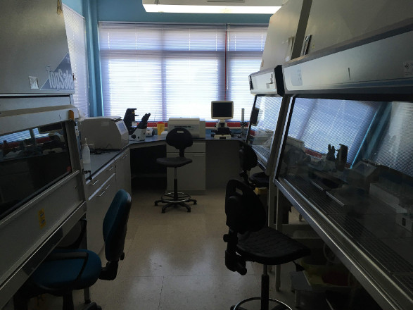 Cell culture room