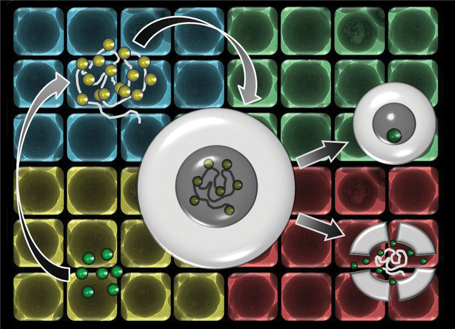 Translatable NanoTheranostics