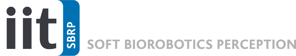 IIT