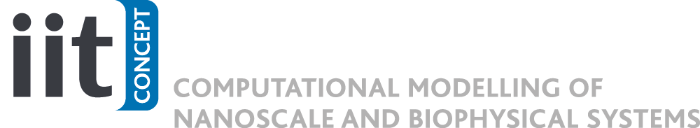 IIT