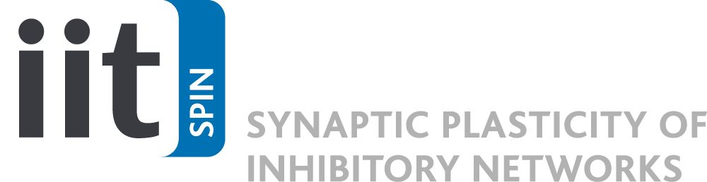 IIT