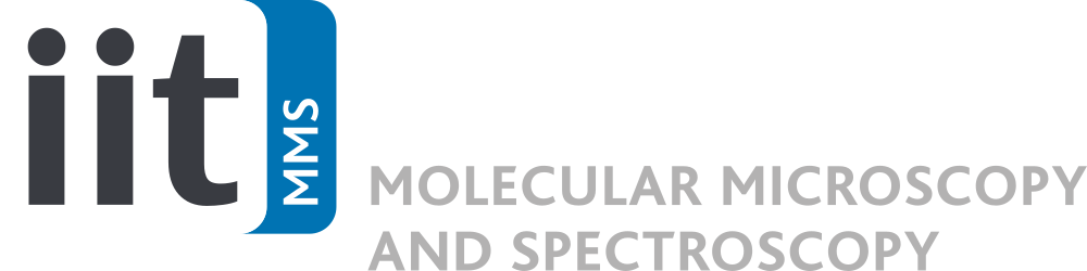 IIT