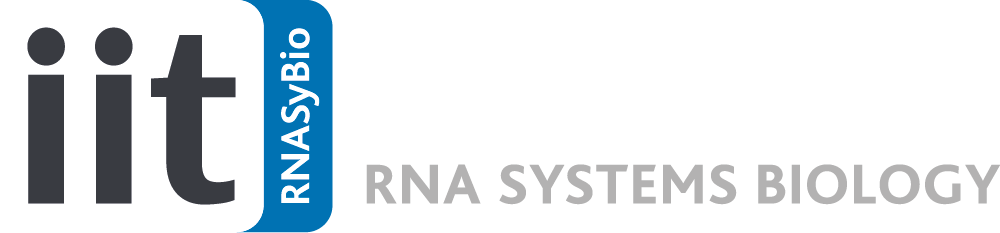 IIT