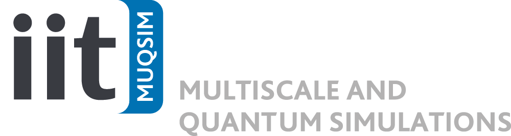 IIT