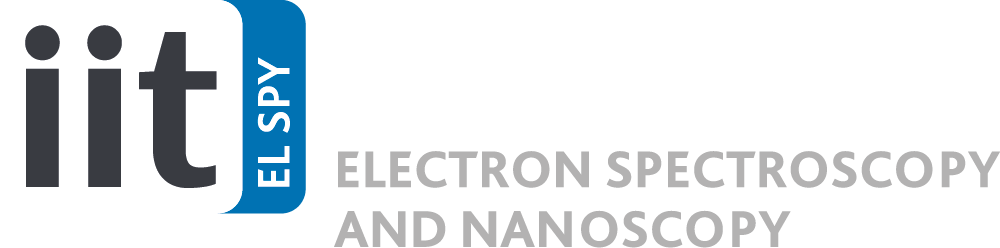 IIT