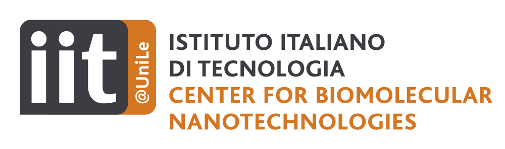 IIT