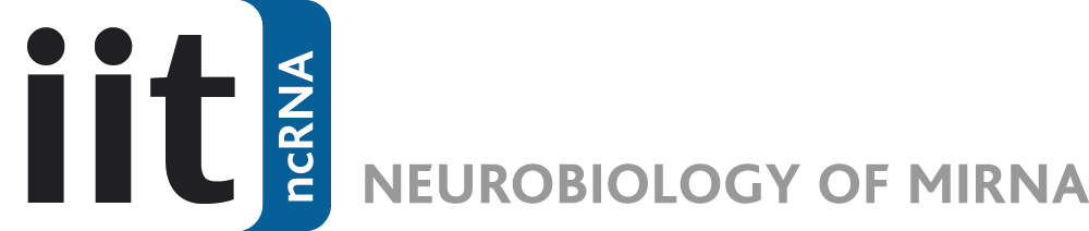 IIT