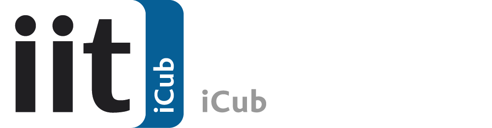 IIT