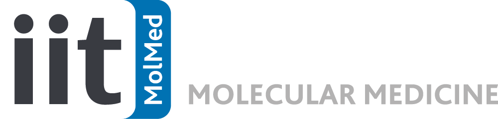 IIT