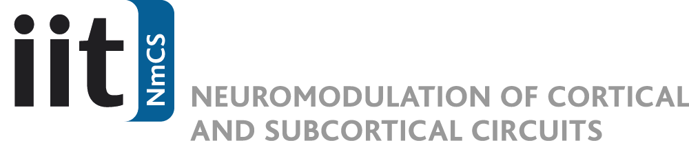 IIT